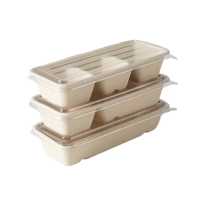 Disposable Bento Box