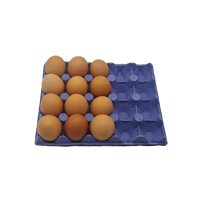 Egg Packaging Materials