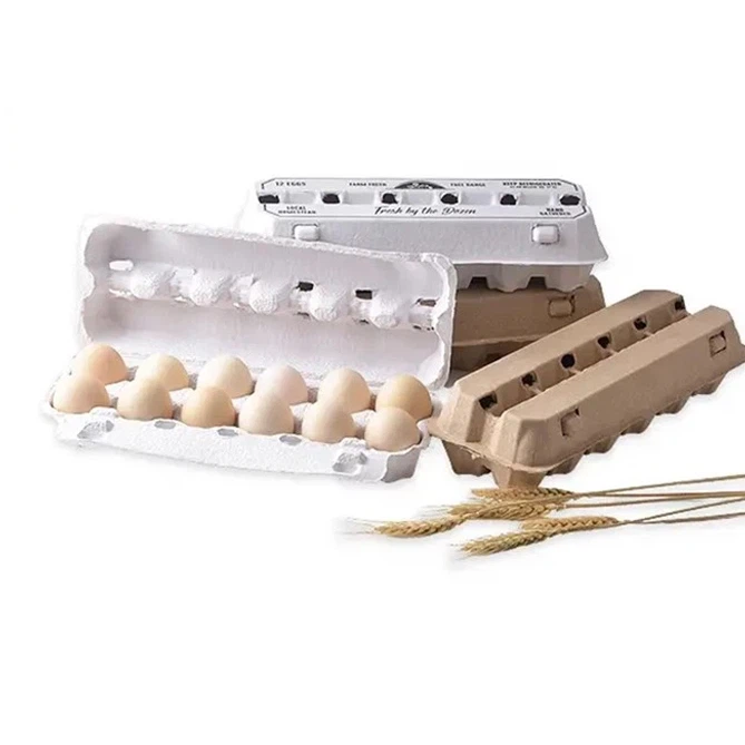Egg Packaging Trays