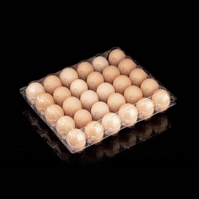 Plastic Egg Cartons