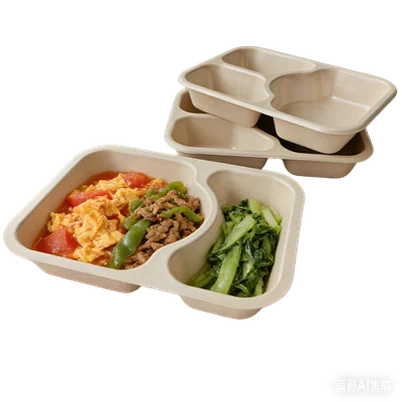 2 Compartment Meal Tray