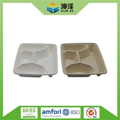 Bagasse Snack Tray
