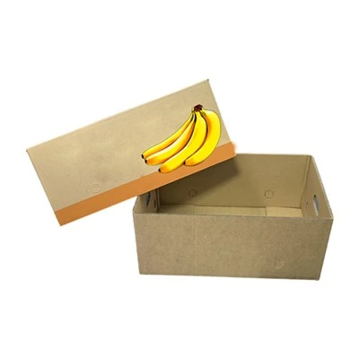 Banana Carton Box