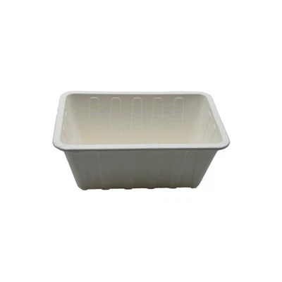 Biodegradable Fruit Container
