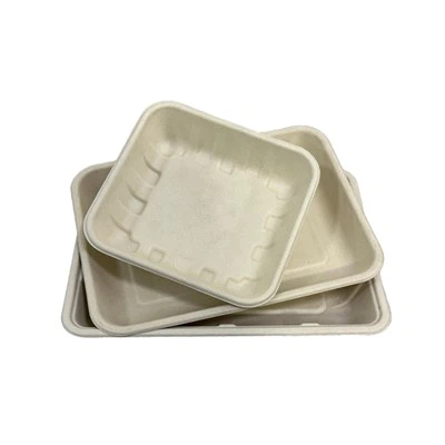 Biodegradable Sugarcane Trays