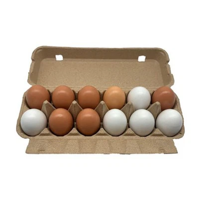 Cardboard Egg Container