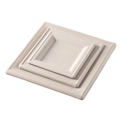 Disposable Cake Plate