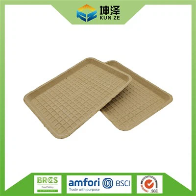 Disposable Food Trays