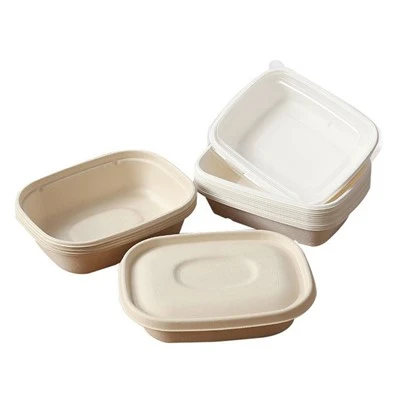 Disposable Picnic Boxes