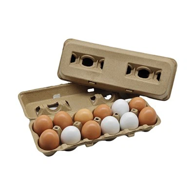 Egg Carton 12