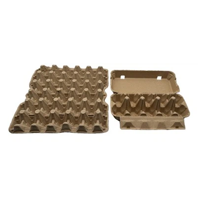 Egg Carton Tray
