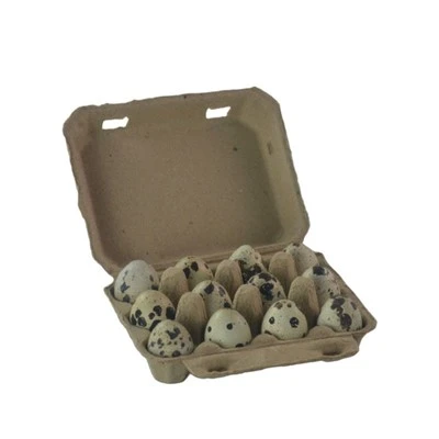 Egg Cartons For Quail Eggs