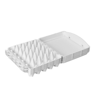Egg Pack Of 30