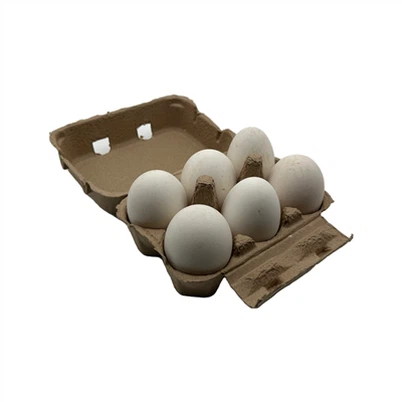 Goose Egg Cartons