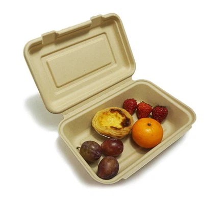 Lunch Boxes For Adults