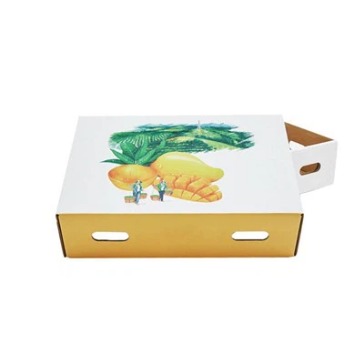 Mango Corrugated Box
