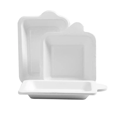 Paper Plates For Snacks