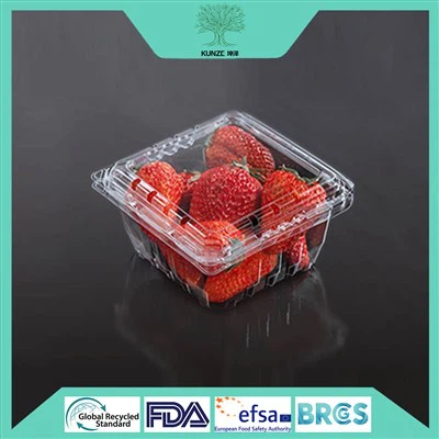 Pet Plastic Food Containers