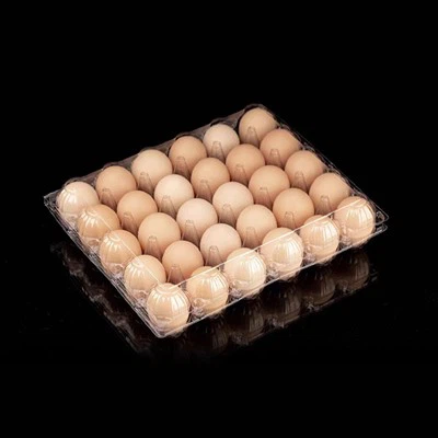 Plastic Egg Cartons