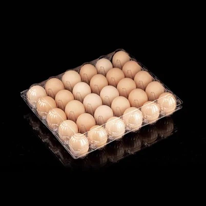Plastic Egg Cartons