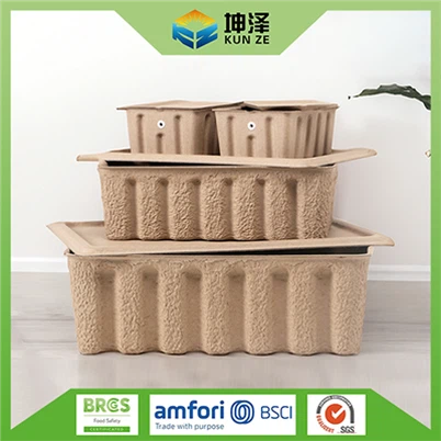 Pulp Storage Box