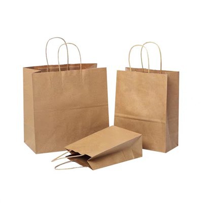 Recycled Brown Bags