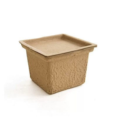Seedling Containers