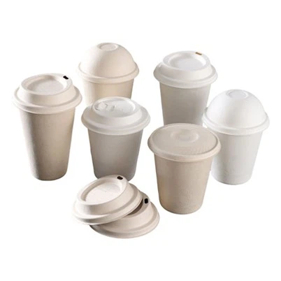 Sugarcane Bagasse Cup