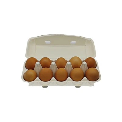 White Egg Container