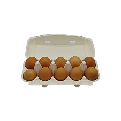 White Egg Container