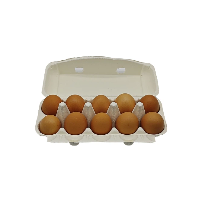White Egg Container