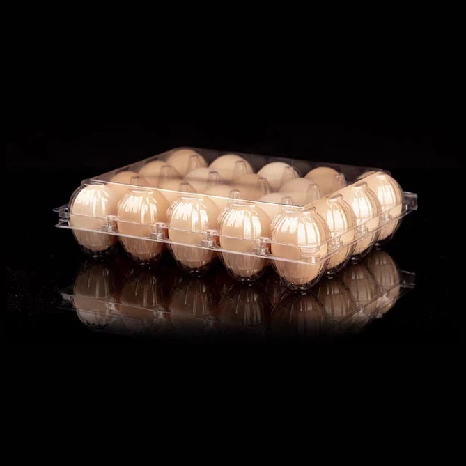 Plastic Egg Cartons