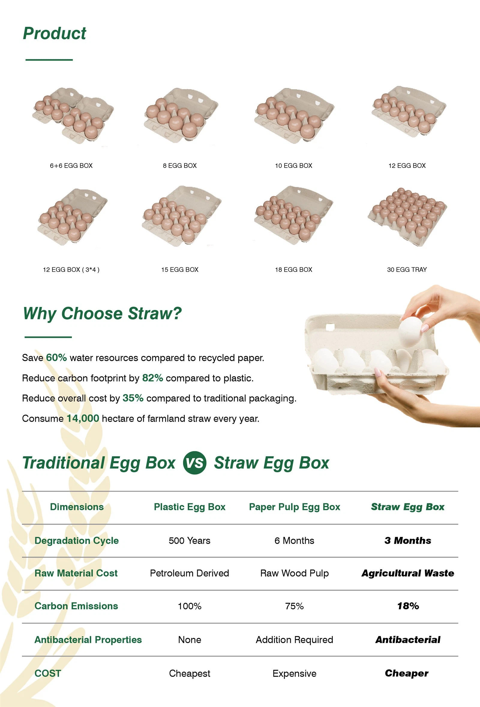 paper-mache-egg-box 1 paper-mache-egg-box 1