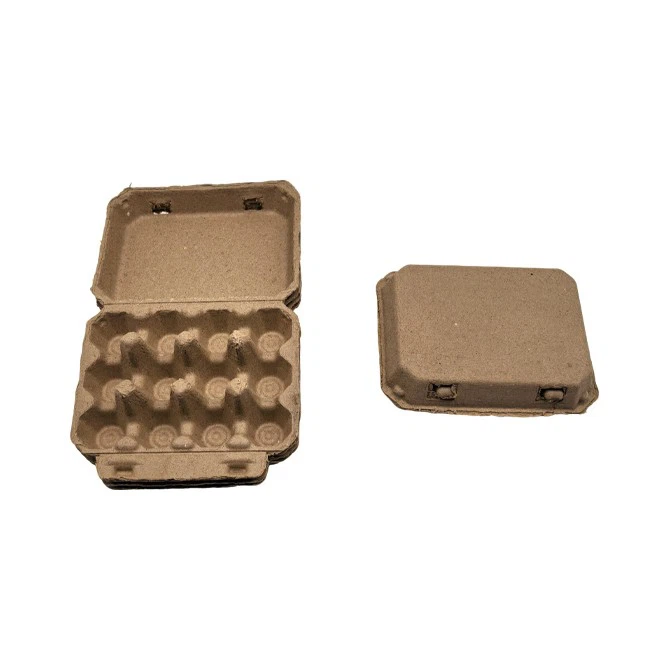 Quail Egg Boxes best