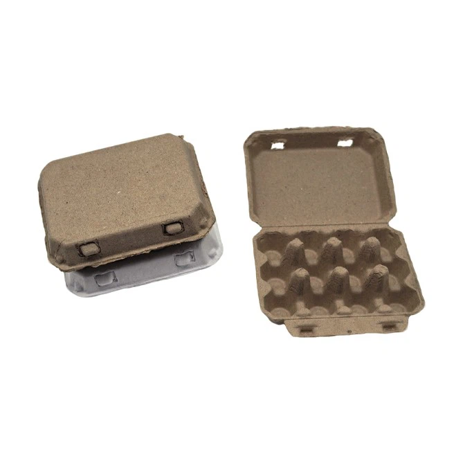 Quail Egg Boxes suppliers