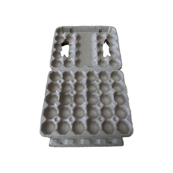 Quail Egg Containers suppliers