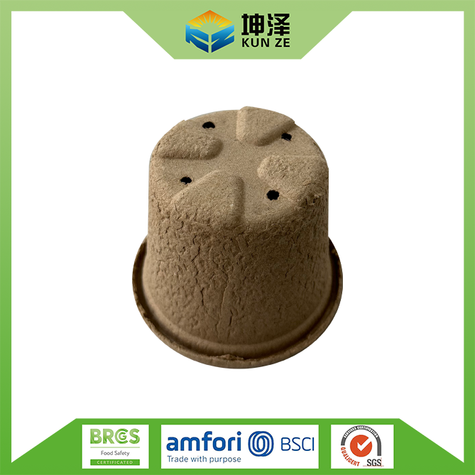 Small Biodegradable Plant Pots