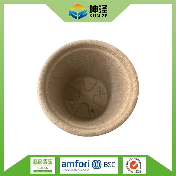 Small Biodegradable Plant Pots