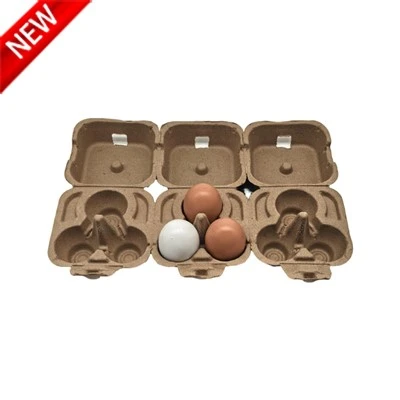 3 Egg Carton