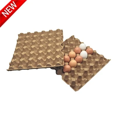 30 Egg Holder