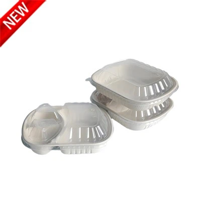 Bento Box Takeaway Packaging