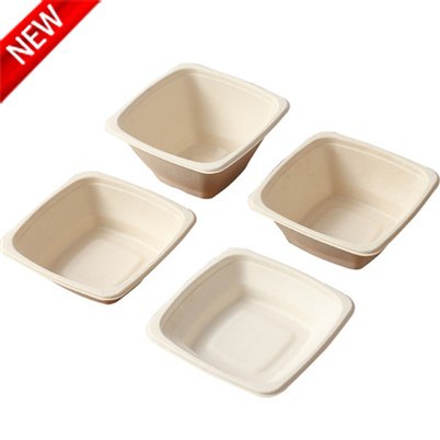 Disposable Bento Containers