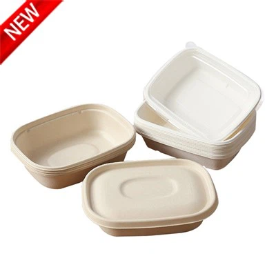 Disposable Picnic Boxes