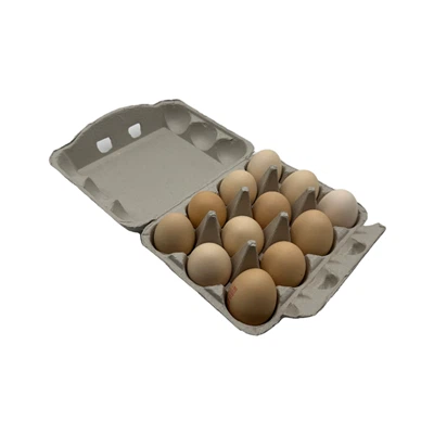 Egg Shipping Boxes