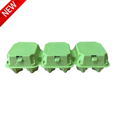 Green Egg Carton