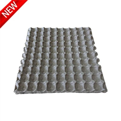 Quail Egg Tray
