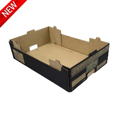 Watermelon Cardboard Boxes