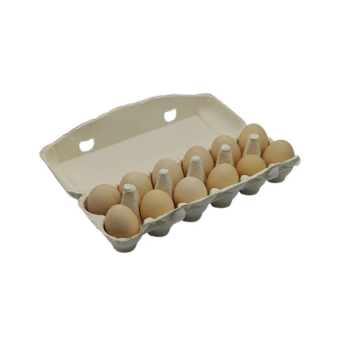 White Egg Container